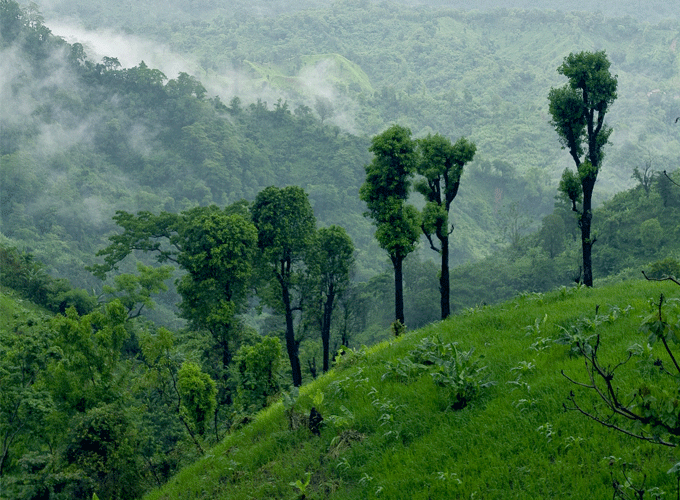 Chittagong Hill Tract